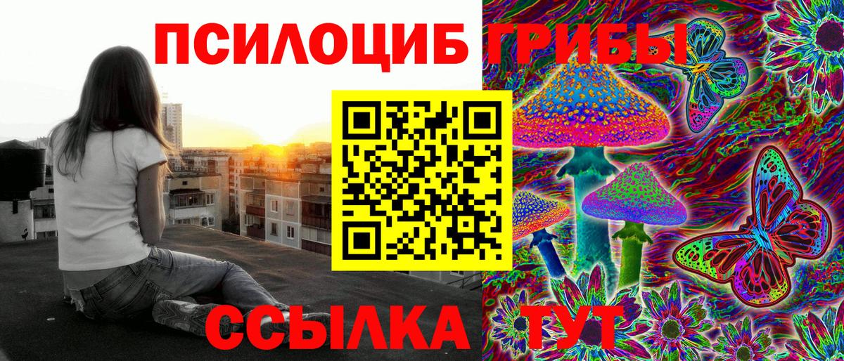 Псилоцибиновые грибы MAGIC MUSHROOMS  Вход с VPN  Домодедово  Псилоцибиновые грибы MAGIC MUSHROOMS 