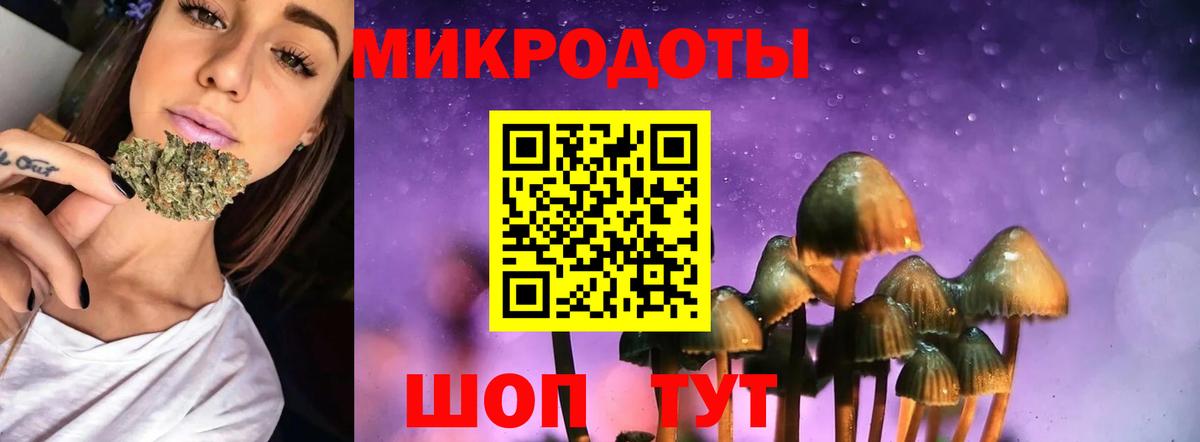 Галлюциногенные грибы Psilocybine cubensis Домодедово